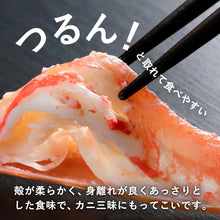 画像をギャラリービューアに読み込む, 【鳥取/鳥取港】活生 若松葉ガニ 2月15日注文締め切り(今年度販売終了)