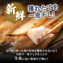 画像をギャラリービューアに読み込む, 《メガ盛り福袋》山陰のおすすめ干物三昧セット1.5kg以上詰め合わせ