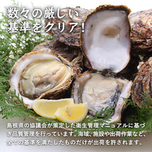 画像をギャラリービューアに読み込む, 【隠岐の島産】岩牡蠣(養殖)Lサイズ(300~350g)