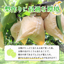 画像をギャラリービューアに読み込む, 【鳥取県八頭郡産】二十世紀梨 秀品 はっとうフルーツ観光園 9月中旬以降順次発送 注文締切9月9日