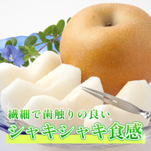 画像をギャラリービューアに読み込む, 【鳥取県八頭郡産】訳あり 秋月梨 はっとうフルーツ観光園 9月下旬以降順次発送/9月30日注文締切