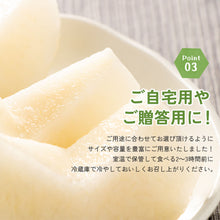 画像をギャラリービューアに読み込む, 【鳥取県八頭郡】二十世紀梨 赤秀 秀品 まる大農園 8月下旬以降順次発送