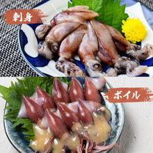 画像をギャラリービューアに読み込む, 【山陰沖産】生ホタルイカ 新物(冷凍) 大容量 1kgパック