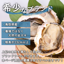 画像をギャラリービューアに読み込む, 【鳥取県産】天然岩牡蠣 夏輝(ラベル付) 大サイズ(1個/500g級)8月11日注文締切