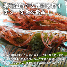 画像をギャラリービューアに読み込む, 【鳥取県産】ガラエビ サイズ不選別