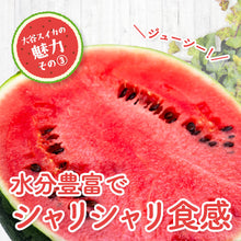 画像をギャラリービューアに読み込む, 【鳥取県産】大玉の大谷スイカ(8~10kg) 2玉セット 6月中旬以降出荷