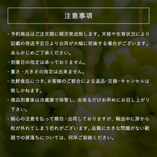 画像をギャラリービューアに読み込む, 【鳥取県国府町産】万葉のしずく 大粒シャインマスカット 注文締切8月29日
