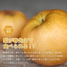 画像をギャラリービューアに読み込む, 【鳥取県八頭郡】訳あり晩三吉 5kg まる大農園 1月上旬以降順次発送