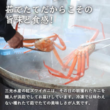 画像をギャラリービューアに読み込む, 【鳥取/境港】<訳あり> ボイル紅ズワイガニ B級 700~790g