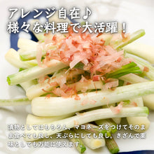 画像をギャラリービューアに読み込む, 【鳥取県産】鳥取砂丘の砂付き島らっきょう