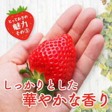 画像をギャラリービューアに読み込む, 【鳥取県産いちご】とっておき 1kg(250g×4パック)