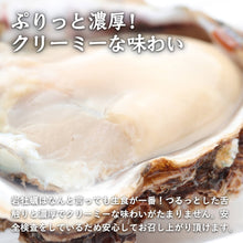 画像をギャラリービューアに読み込む, 【境港産】天然岩牡蠣 夏輝(ラベル付) 大サイズ(1個/500g級)殻開け済(殻の側面に隙間を開け た状態でお届け)8月15日注文締切