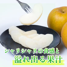 画像をギャラリービューアに読み込む, 【鳥取県八頭郡産】新甘泉 秀品 はっとうフルーツ観光園 注文締切9月9日