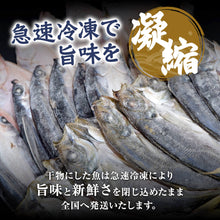 画像をギャラリービューアに読み込む, 《メガ盛り福袋》山陰のおすすめ干物三昧セット1.5kg以上詰め合わせ