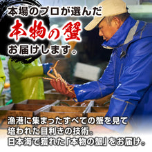 画像をギャラリービューアに読み込む, 【鳥取/網代港】<訳あり>親ガニ(セコガニ) 1kgセット(5~8枚入り) 足折れ1~3本 11月10日出荷開始予定