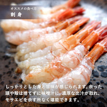 画像をギャラリービューアに読み込む, 《送料無料》【真空冷凍】猛者エビ(モサエビ)大中サイズ