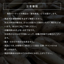 画像をギャラリービューアに読み込む, 【鳥取県産】根付き砂丘らっきょう サイズ不選別(SML混在)注文締切6月22日まで