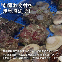 画像をギャラリービューアに読み込む, 境港産【極】浜焼きセット