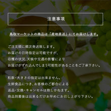 画像をギャラリービューアに読み込む, 【鳥取県産】シャインマスカット 1kg(2~3房) 9月20日以降順次発送