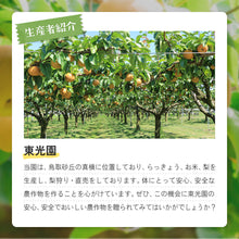 画像をギャラリービューアに読み込む, 【鳥取県福部町産】新甘泉 秀品 東光園 注文締切9月13日まで