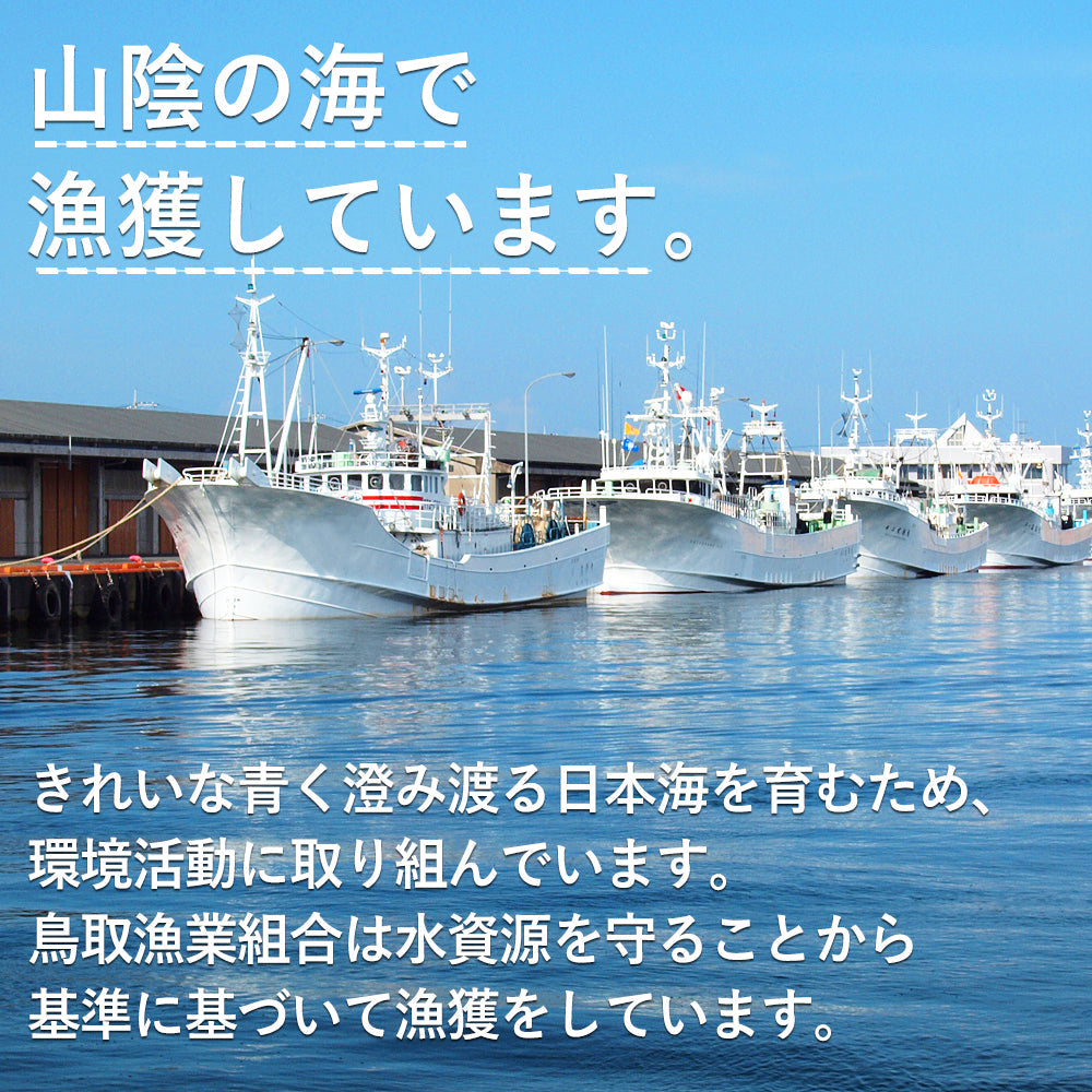 【着日指定可】【極】極選松葉ガニ 1kg級 鳥取県産 ブランドタグ付