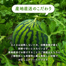 画像をギャラリービューアに読み込む, 【鳥取県産】大栄スイカ 注文締切7月10日