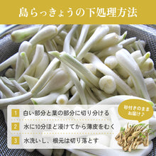 画像をギャラリービューアに読み込む, 【鳥取県産】鳥取砂丘の砂付き島らっきょう