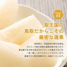 画像をギャラリービューアに読み込む, 【鳥取県鳥取市産】訳あり新甘泉 5kg 農楽猫農園 9月上旬以降順次発送 注文締切9月5日