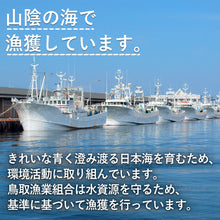 画像をギャラリービューアに読み込む, 【鳥取/鳥取港】親ガニ(セコガニ) A級(贈答用) 小サイズ 130g/枚 早割価格の注文締切11月26日まで