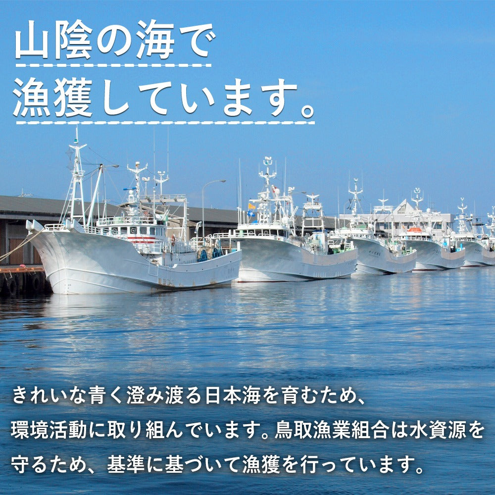 2月以降順次発送【鳥取県産】活生 若松葉ガニ
