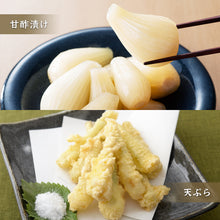 画像をギャラリービューアに読み込む, 【鳥取県産】根切り砂丘らっきょう 1kg サイズ不選別(SML混在) ご注文締切7月5日まで