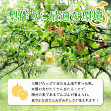 画像をギャラリービューアに読み込む, 【鳥取県八頭郡産】新甘泉 秀品 はっとうフルーツ観光園 注文締切9月9日