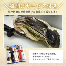 画像をギャラリービューアに読み込む, 【境港産】天然岩牡蠣 夏輝(ラベル付) 中サイズ(1個/400~490g級)殻開け済(殻の側面に隙間を開けた状態でお届け)8月15日注文締切