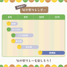 画像をギャラリービューアに読み込む, 【鳥取県八頭郡】訳あり新興梨 5kg まる大農園 10月20日注文締切