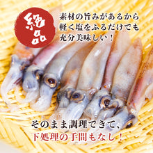 画像をギャラリービューアに読み込む, 【山陰沖産】生ホタルイカ 新物(冷凍) 大容量 1kgパック