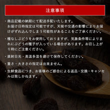 画像をギャラリービューアに読み込む, 【島根県産】シャインマスカット枝付き干しぶどう 100g×2房(おまけ付き)