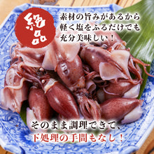 画像をギャラリービューアに読み込む, 【山陰沖産】〈着日指定不可〉ボイルホタルイカ(冷蔵)250gパック