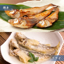 画像をギャラリービューアに読み込む, 【山陰沖産】ハタハタ一夜干し(冷凍) 小サイズ