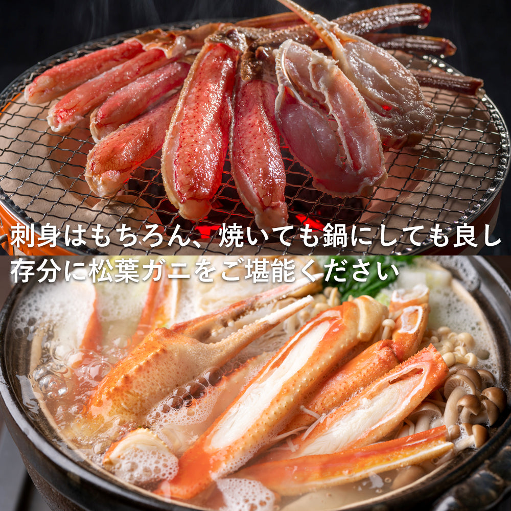【着日指定可】【竹】極選松葉ガニ 600g級 鳥取県産 ブランドタグ付