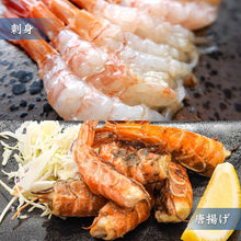画像をギャラリービューアに読み込む, 【鳥取県産】ガラエビ サイズ不選別