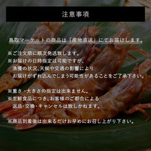 画像をギャラリービューアに読み込む, 《送料無料》【真空冷凍】猛者エビ(モサエビ)大中サイズ