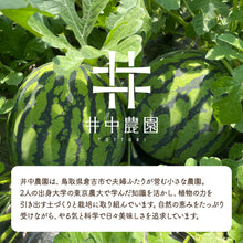 画像をギャラリービューアに読み込む, 【倉吉産】いなかのすいか(9kg前後/1玉)6月中旬頃発送開始予定