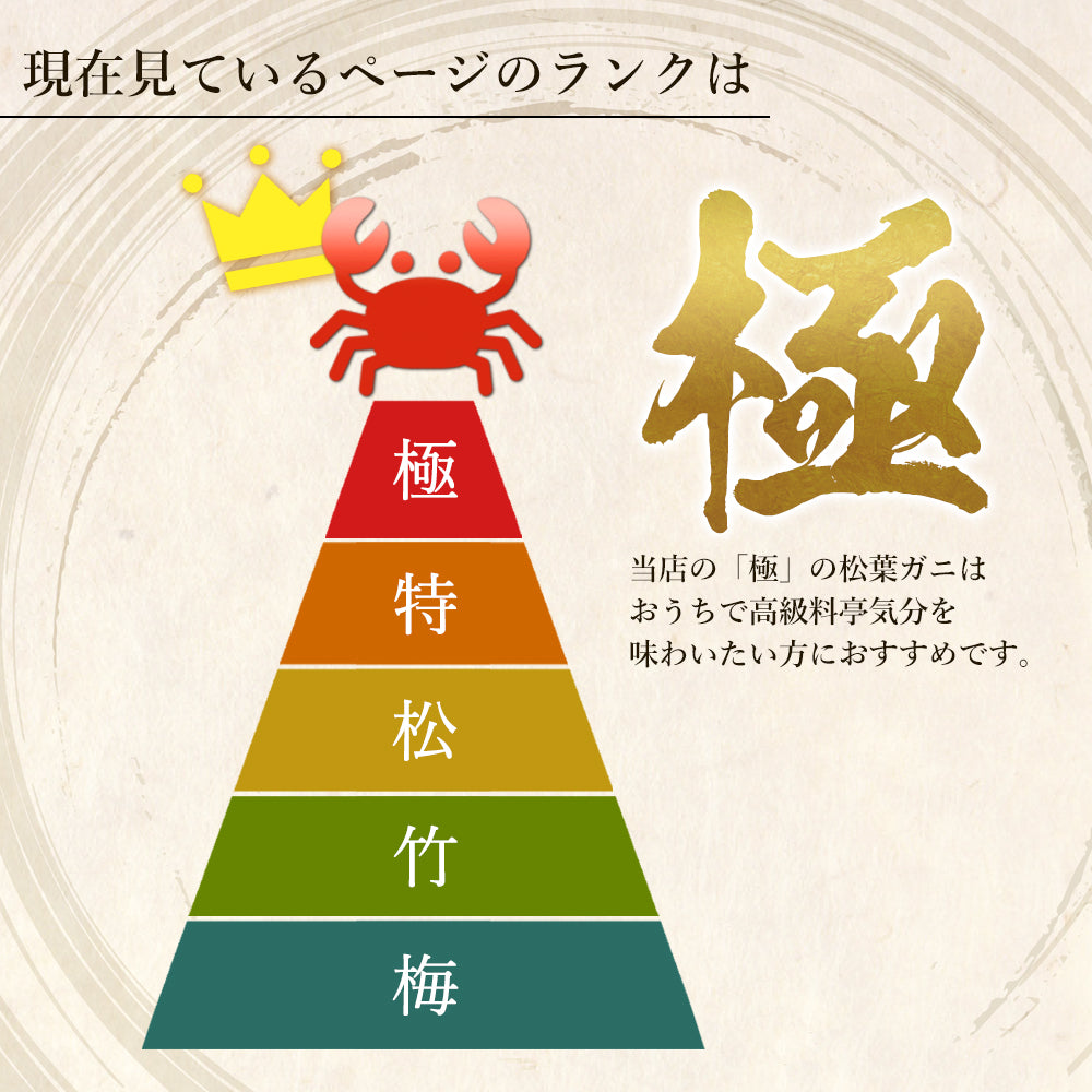 【着日指定可】【極】極選松葉ガニ 1kg級 鳥取県産 ブランドタグ付