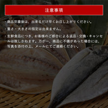 画像をギャラリービューアに読み込む, 《メガ盛り福袋》山陰のおすすめ干物三昧セット1.5kg以上詰め合わせ