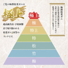 画像をギャラリービューアに読み込む, 【鳥取/鳥取港】<極上> 極撰松葉ガニ 最高級品 1.2kg級 ブランドタグ付 早割価格の注文締切11月26日まで