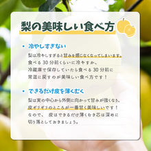 画像をギャラリービューアに読み込む, 【鳥取県八頭郡産】訳あり秋麗梨 5kg はっとうフルーツ観光園 8月下旬以降順次発送  注文締切8月22日