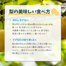 画像をギャラリービューアに読み込む, 【鳥取県八頭郡産】訳あり 秋月梨 はっとうフルーツ観光園 9月下旬以降順次発送/9月30日注文締切