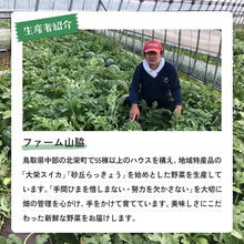 画像をギャラリービューアに読み込む, 【鳥取県産】大玉の大谷スイカ(8~10kg)6月中旬以降出荷