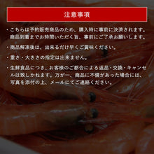 画像をギャラリービューアに読み込む, 【鳥取県産】甘エビ 中サイズ(1パック40尾前後)