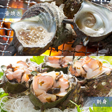 画像をギャラリービューアに読み込む, 【鳥取・島根産】天然サザエ(無選別)